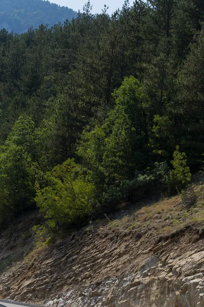 Rhodopes Uma Cordilheira Sudeste Europa Bulgária Panorama Área Florestal Cobre — Fotografia de Stock