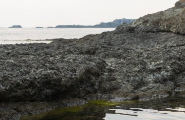Karadeniz kıyısı. Donmuş volkanik lavların oluşturduğu bir deniz kıyısı. Tektonik kayalar.