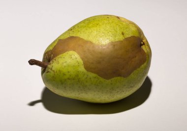 Green pear on a white background. Pigmentation on the fruit. Conceptual Association of Vitiligo.