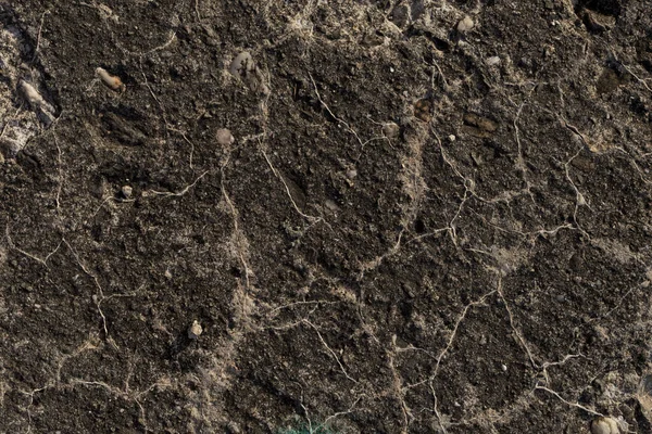 Piastra Roccia Superficie Pietra Colorata Geologia Rocce Metamorfiche — Foto Stock