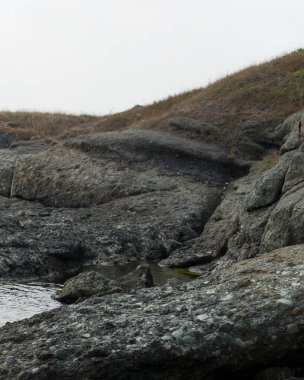 Karadeniz kıyısı. Donmuş volkanik lavların oluşturduğu bir deniz kıyısı. Tektonik kayalar.