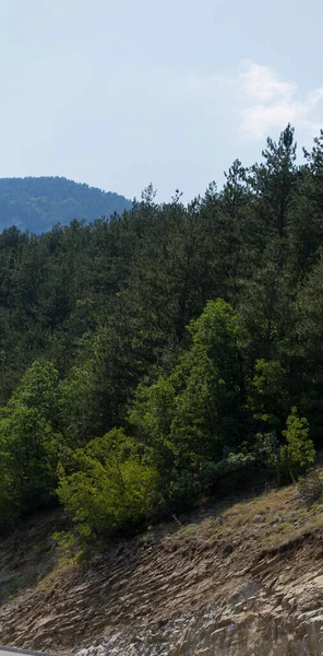 Rhodopes Una Cordillera Sudeste Europa Bulgaria Panorama Área Forestal Cubre — Foto de Stock