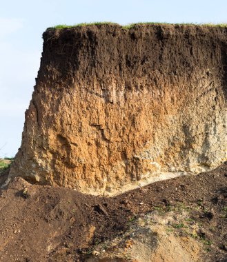 Yüksek oranda demir oksit içeren tortulu kayalar. Kırmızı toprak, toprak. Toprağın dokusu.
