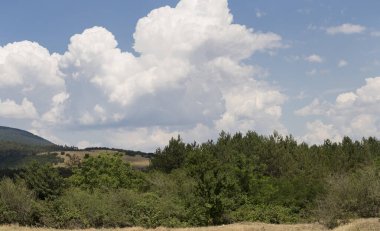 Güney Avrupa'nın panoramik arazisi. Bulgaristan-dağlar, tarlalar, flora peyzaj.