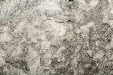 Evin duvarı. Beton kaplama. Çimento levha.