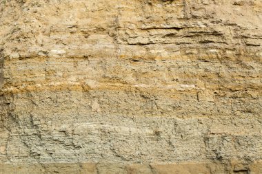 Yüksek oranda demir oksit içeren tortulu kayalar. Kırmızı toprak, toprak. Toprağın dokusu.