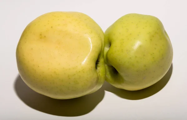 Maçãs Mutantes Feias Frutas São Amarelas Fundo Branco Relação Entre — Fotografia de Stock