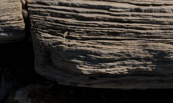 Stone Slab Black Sea Coast Close Layered Structure Sedimentary Rocks — Stock Photo, Image