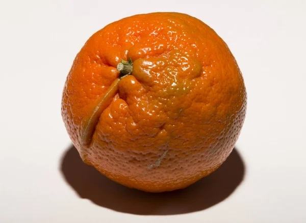 Mandarin Orange Citrus Reticulata Mandarine Small Citrus Tree Fruit White — Stock Photo, Image