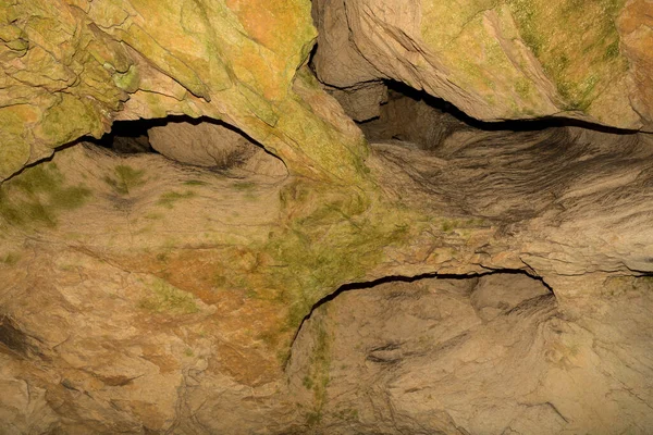 符号学 保加利亚Dryanovo的Bacho Kiro山洞 — 图库照片