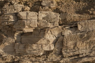 Karadeniz kıyılarına yakın çekim. Tortul kayalardan oluşan katmanlı bir yapı. Kıyı dokusu.