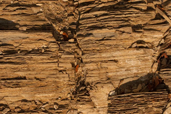 Black Sea Coast Close Layered Structure Sedimentary Rocks Coastal Texture — Stock Photo, Image