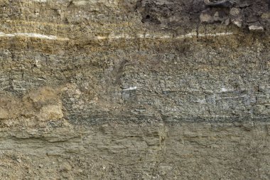 Sedimentary rocks with a high content of iron oxide. Red soil, loam. The texture of the soil.