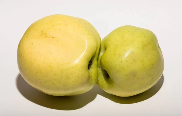 Ugly mutant apples. Fruits are yellow on a white background.  The relationship between two objects.  The concept of intimacy.