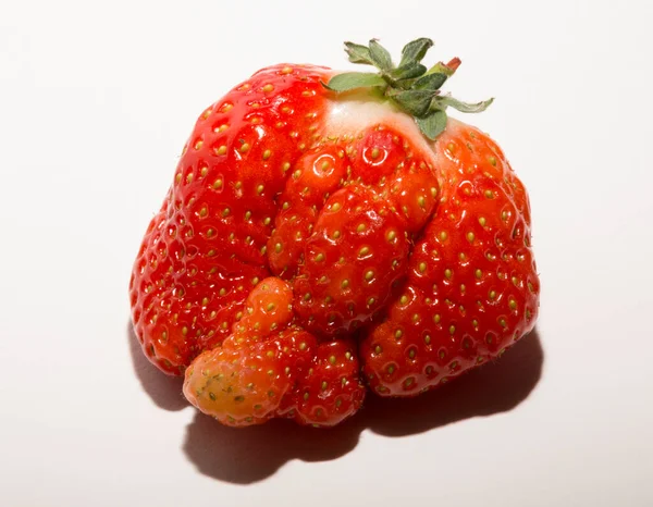 Riesige Hässliche Erdbeeren Auf Weißem Hintergrund Dessert Ist Eine Mutante — Stockfoto