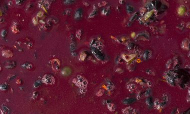 Şarap malzemesi, üzüm suyu - mutlaka, stum, maun. Moldova 'da şarap üretim teknolojisi. Şarap yapma geleneği..