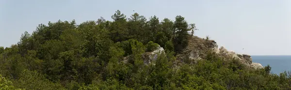 Bulgária Costa Mar Negro Montanhas Floresta Rochas Sedimentares — Fotografia de Stock