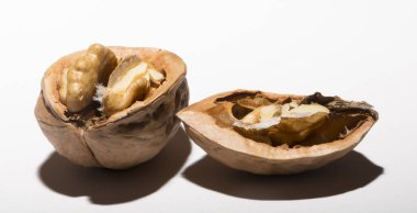 Cevizler yuvarlaktır, ceviz ağacının tek tohumlu taş meyveleri. Ceviz kırıyorum..