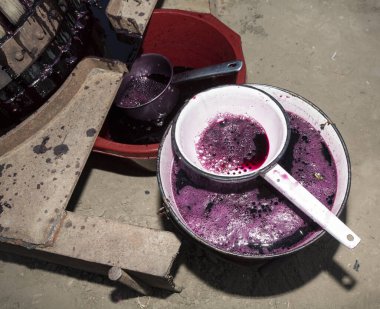 Şarap yapımı. Sıkıcı, şarabı sıkmak için kullanılır. Meyve suyu toplamak için tabaklar. Moldova 'da şarap üretim teknolojisi. Üzüm işlemenin eski halk geleneği.