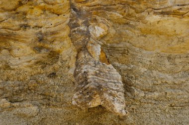 Kum ocağındaki betonlar. Yüksek oranda demir oksit içeren tortulu kayalar. Kırmızı toprak, toprak. Toprağın dokusu.