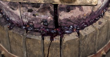 Sıkıcı, şarabı sıkmak için kullanılır. Moldova 'da şarap üretim teknolojisi. Şarap yapma geleneği. Eski üzüm işleme geleneği. Evi hasat et.