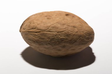 Cevizler yuvarlaktır, ceviz ağacının tek tohumlu taş meyveleri..