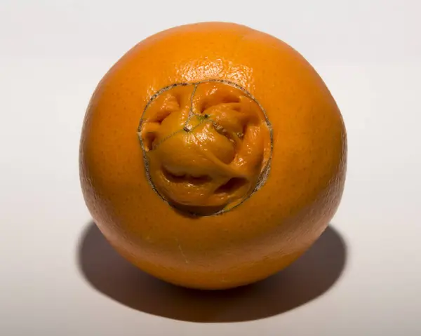 Stock image A strange sweet oranges, gives birth to its offspring. Association of Medical Diseases.