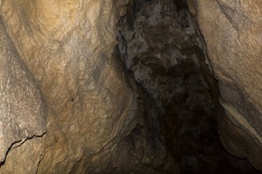 Speleoloji. Bacho Kiro mağarası, Dryanovo, Bulgaristan. Sarkıt ve dikdörtgen dalma düzenleri..