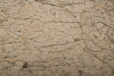 Speleoloji. Taş zemin soyut yüzey. Bacho Kiro mağarası, Dryanovo, Bulgaristan.