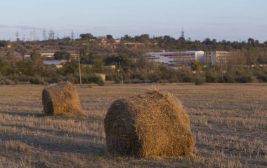 Buğday hasadı. Tarlada yuvarlak saman balyaları. Köyün varoşlarında gün batımı.