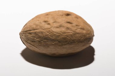 Cevizler yuvarlaktır, ceviz ağacının tek tohumlu taş meyveleri..