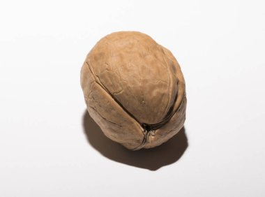 Cevizler yuvarlaktır, ceviz ağacının tek tohumlu taş meyveleri. Triküspid ceviz.