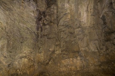 Speleoloji. Bacho Kiro mağarası, Dryanovo, Bulgaristan.