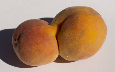 İki tane şeftalili meyve. Siyam ikizleri. Meyve anomalisi.