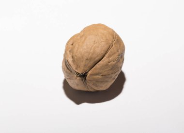 Cevizler yuvarlaktır, ceviz ağacının tek tohumlu taş meyveleri. Triküspid ceviz.