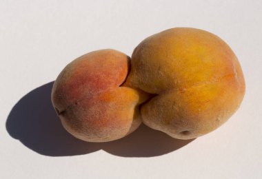 İki tane şeftalili meyve. Siyam ikizleri. Meyve anomalisi.