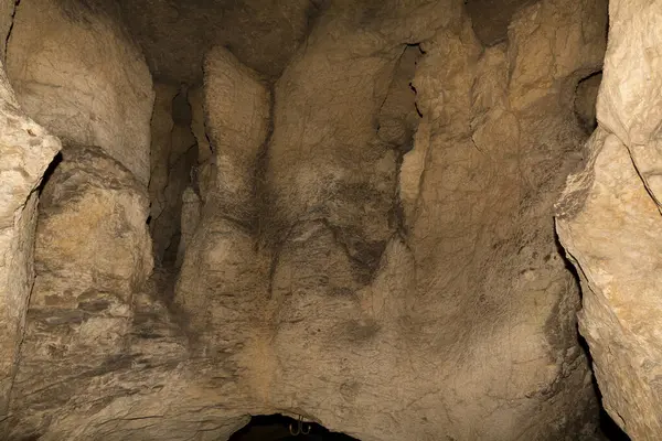 Speleoloji. Bacho Kiro mağarası, Dryanovo, Bulgaristan.