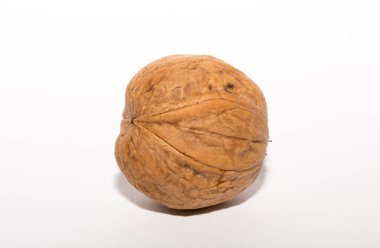 Cevizler yuvarlaktır, ceviz ağacının tek tohumlu taş meyveleri. Triküspid ceviz.