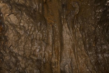 Speleoloji. Bacho Kiro mağarası, Dryanovo, Bulgaristan. Sarkıt ve dikdörtgen dalma düzenleri..