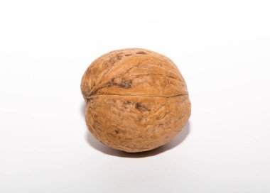 Cevizler yuvarlaktır, ceviz ağacının tek tohumlu taş meyveleri. Triküspid ceviz.