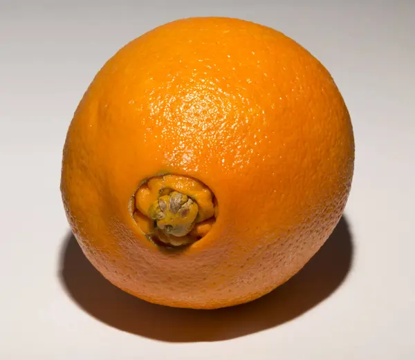 stock image A strange sweet oranges, gives birth to its offspring. Association of Medical Diseases.