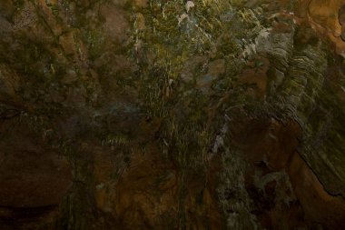 Speleoloji. Bacho Kiro mağarası, Dryanovo, Bulgaristan. Sarkıt ve dikdörtgen dalma düzenleri..