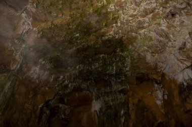 Speleoloji. Bacho Kiro mağarası, Dryanovo, Bulgaristan. Sarkıt ve dikdörtgen dalma düzenleri..