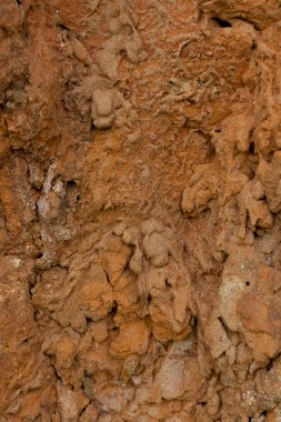 Yüksek oranda demir oksit içeren tortulu kayalar. Kırmızı toprak, toprak. Toprağın dokusu.