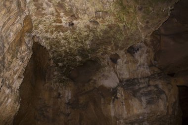 Speleoloji. Bacho Kiro mağarası, Dryanovo, Bulgaristan. Sarkıt ve dikdörtgen dalma düzenleri..