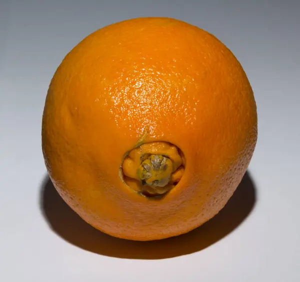 stock image A strange sweet oranges, gives birth to its offspring. Association of Medical Diseases.