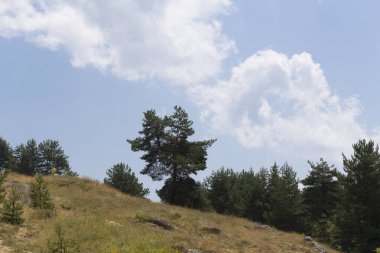 Rhodopes, Güneydoğu Avrupa 'da bir sıradağdır. Bulgaristan. Panorama. Orman alanı dağları kaplıyor..