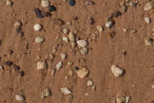 Kızıl Deniz 'in kıyı şeridi. Kum, çakıl taşı, mercan, fosil. Deniz temalı bir arkaplan.