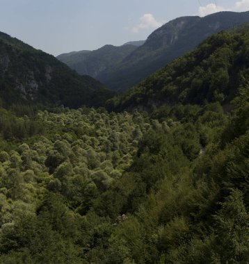 Rhodopes, Güneydoğu Avrupa 'da bir sıradağdır. Bulgaristan. Panorama. Orman alanı dağları kaplıyor..