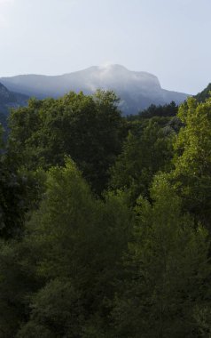 Rhodopes, Güneydoğu Avrupa 'da bir sıradağdır. Bulgaristan. Panorama. Orman alanı dağları kaplıyor..